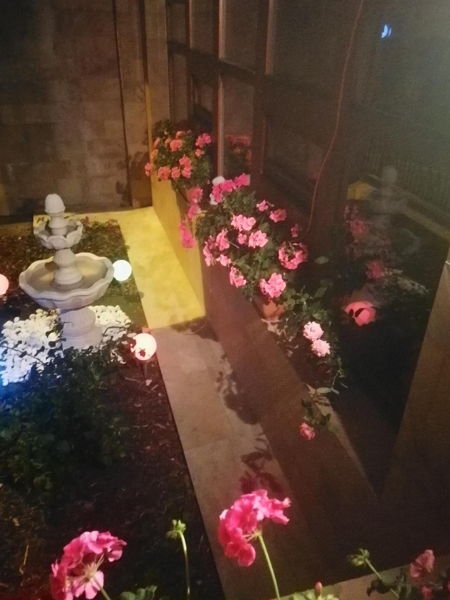 Villa Barrandov Pokoj 3 プラハ エクステリア 写真
