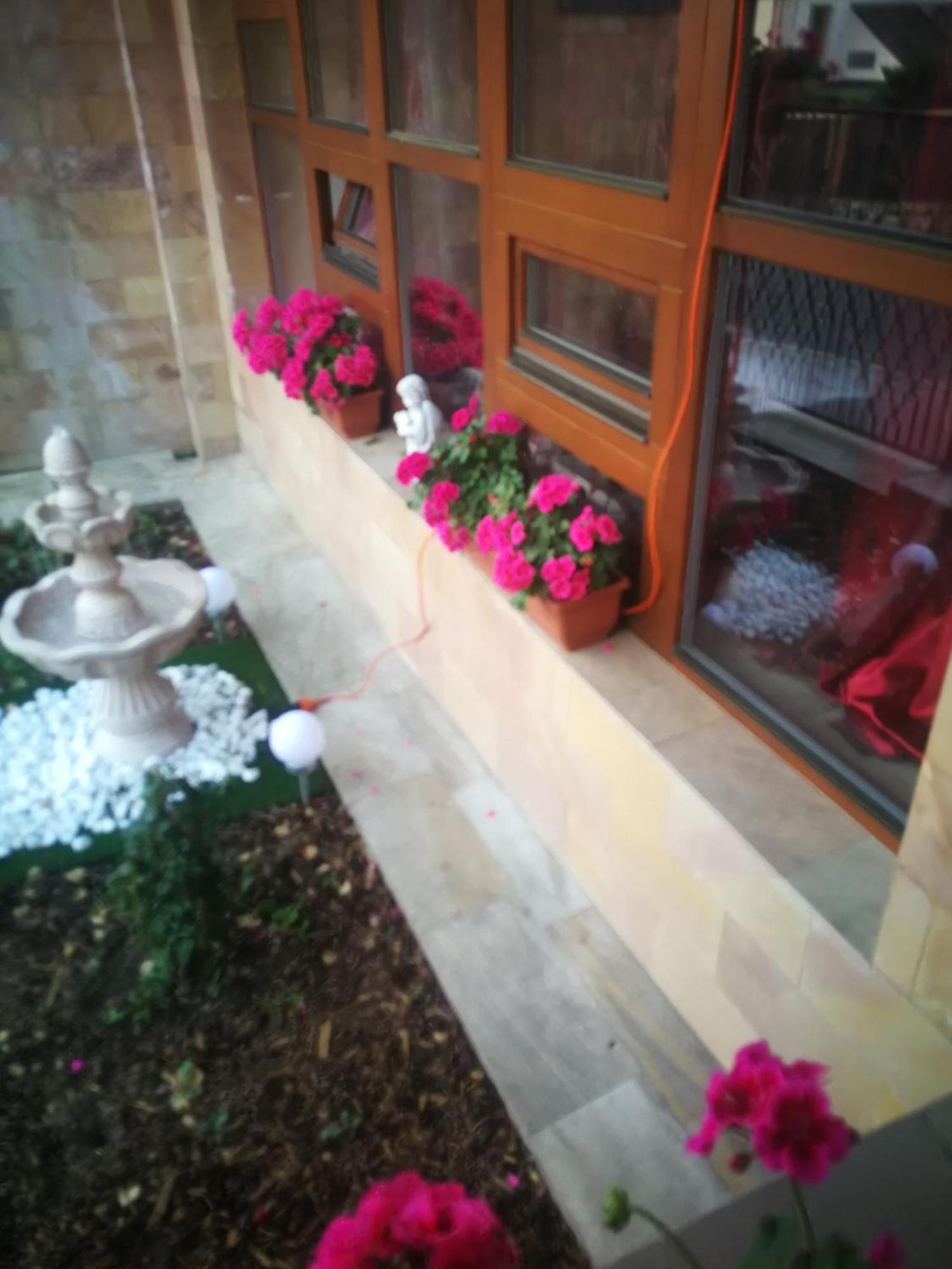Villa Barrandov Pokoj 3 プラハ エクステリア 写真